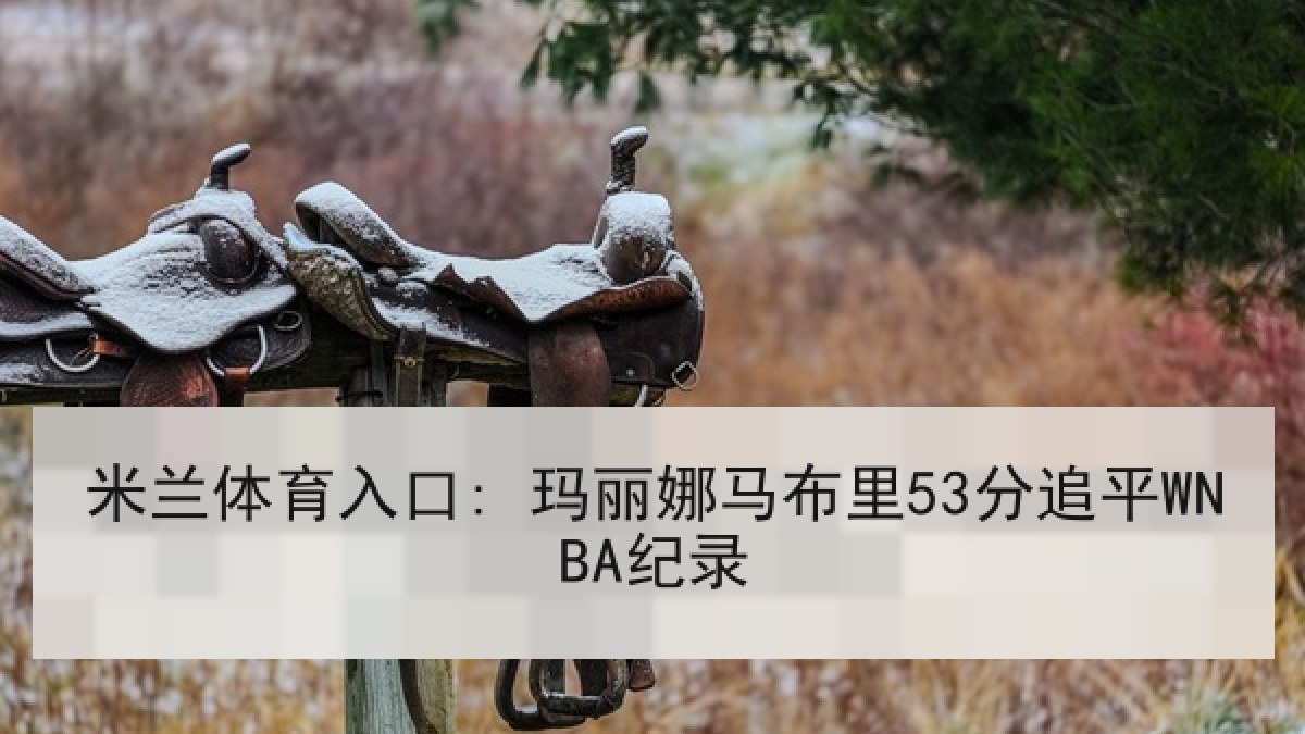 米兰体育入口: 玛丽娜马布里53分追平WNBA纪录 米兰体育入口: 玛丽娜马布里53分追平WNBA纪录