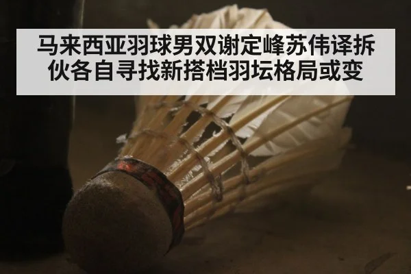 马来西亚羽球男双谢定峰苏伟译拆伙各自寻找新搭档羽坛格局或变