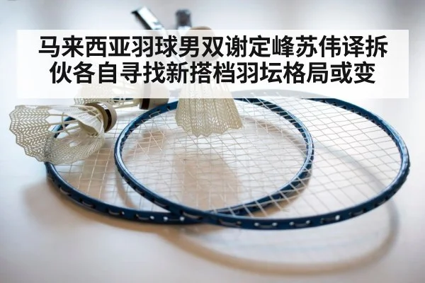 badminton racket and shuttlecock